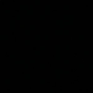 Meet your Posher, Devin